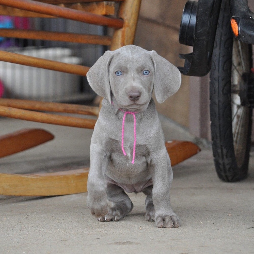 Meet your Posher, Brooke